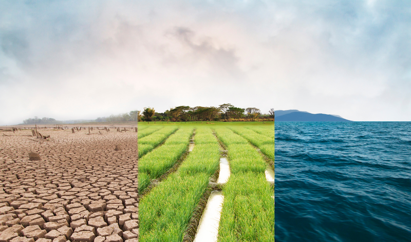 three different side by side climates