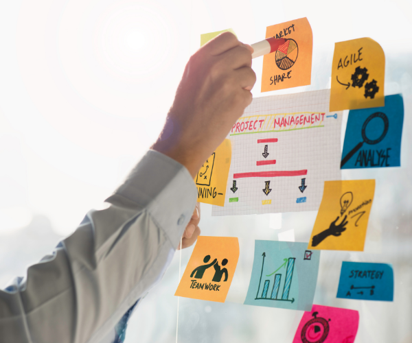 Public sector employee using sticky notes on glass for effective project management.