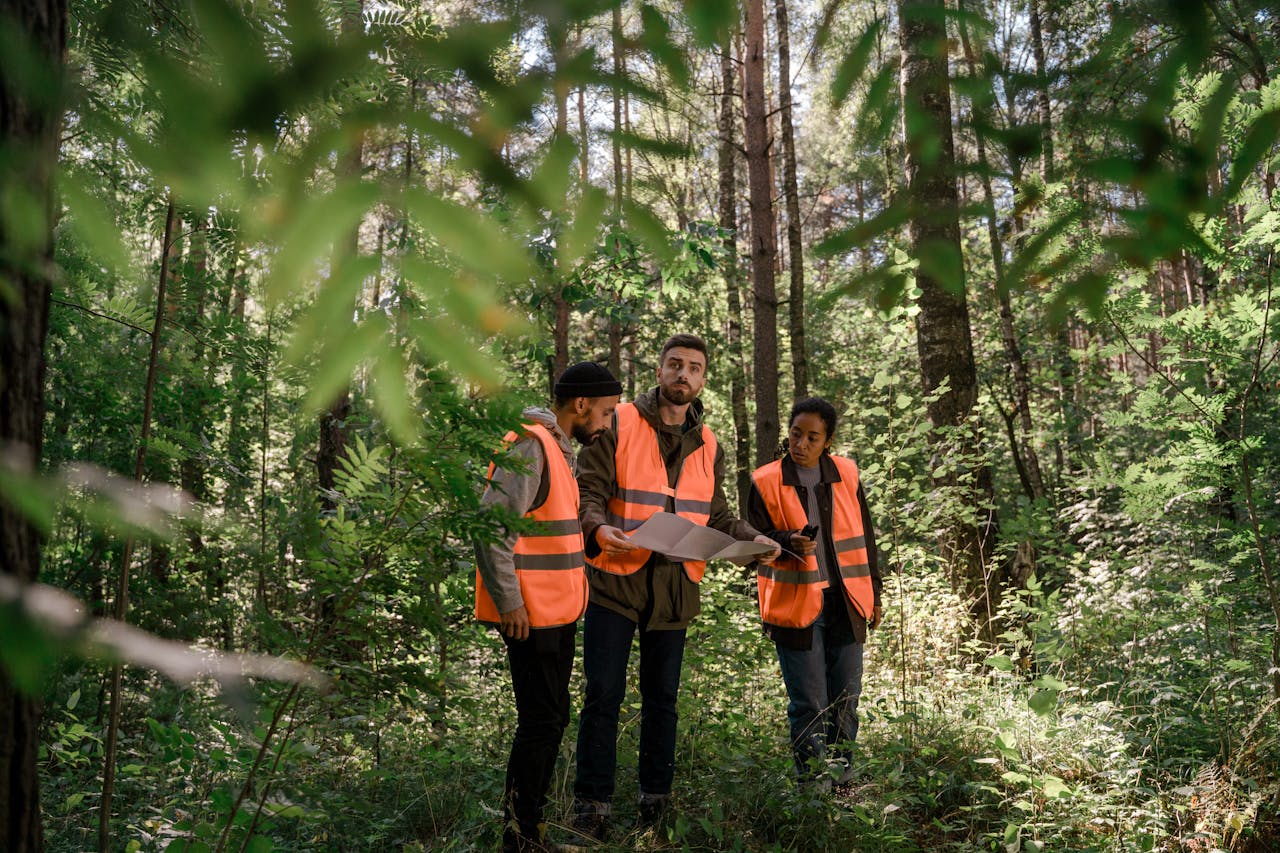 Municipal and government employees discussing climate action plan in forrest