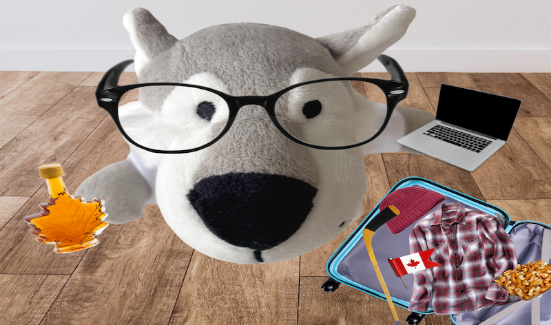close up of data wolf, envisio's new mascot