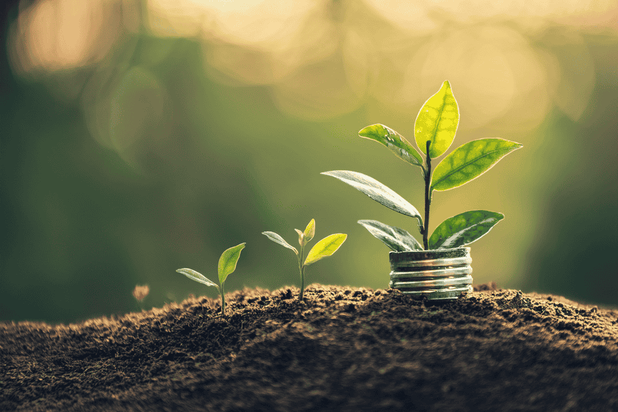 3 progressively grown plants from left to right, signifying growth in govtech 2026