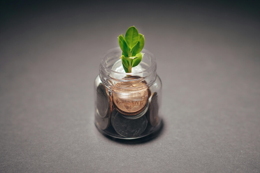 Image of a plant in a clear jar with coins in it, to represent public sector budgeting.