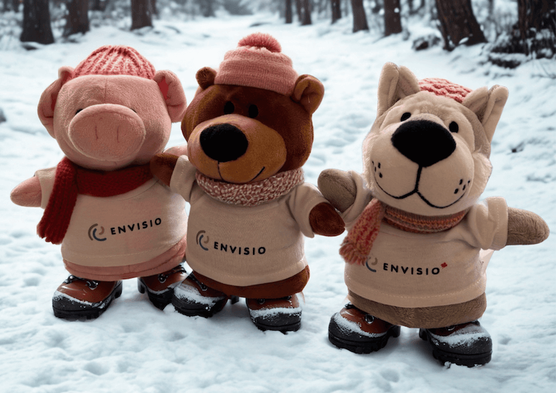A stuffie of a pig, a bear, and a wolf are out for a winter hike.